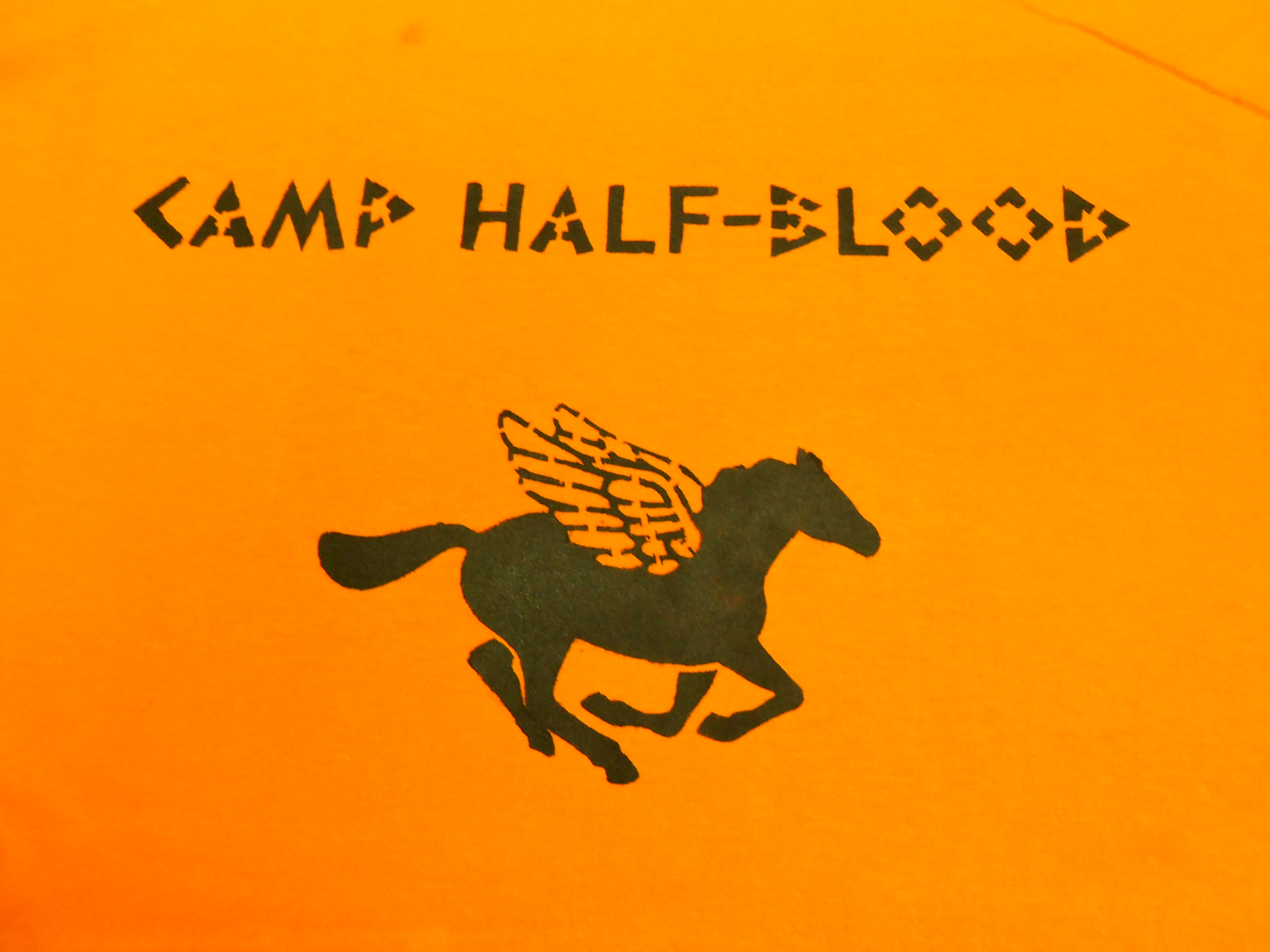 Camiseta Acampamento Meio-Sangue (Percy Jackson)